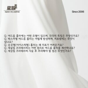 로담한의원지식인